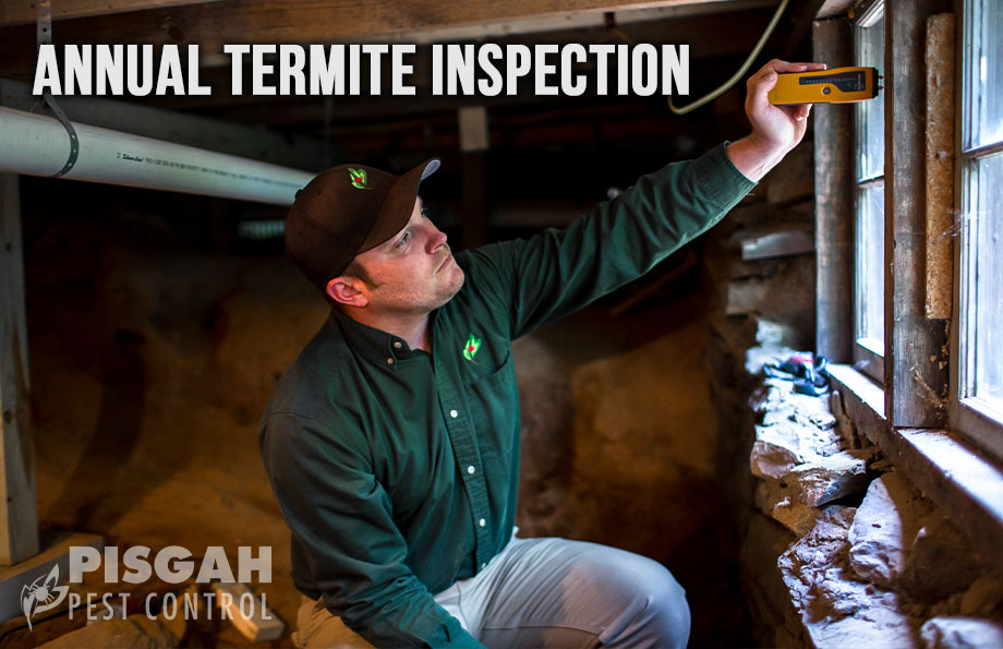 Annual Termite Inspection provided by Pisgah Pest Control
